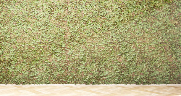 istock Empty room,Clean japanese minimalist room interior 1594423309