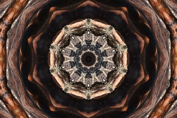 Horses eating hay, but hard to tell through kaleidoscope lens.