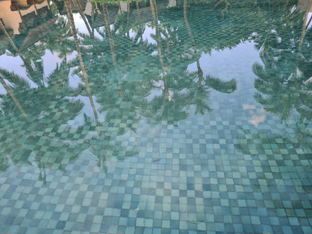istock Shadow of coconut trees on the pool background 1594453464