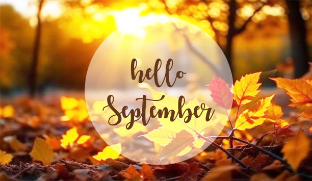 istock Hello September greeting on a yellow leaves and blurred autumn forest sunset background. Fall season concept. 1594457173