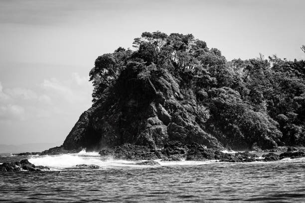 volcanic rocks and rainforest line the coastline of Herradura Beach