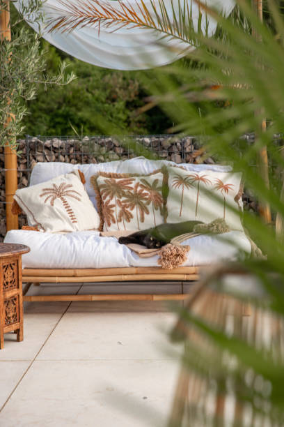 istock Black Cat relaxing on outdoor sofa lying on its side in garden 1594483236
