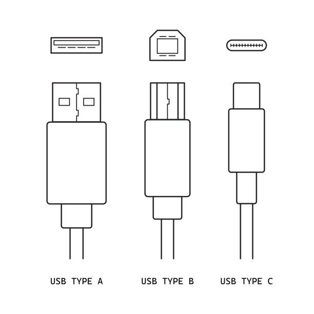 illustrations, cliparts, dessins animés et icônes de connecteurs de câble usb - jeu d’icônes vectorielles. type a, type b et type c. illustration de dessin. homme et femme. isolé sur fond blanc - câble usb