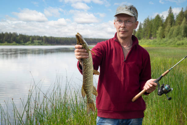 istock Pike fish in the hands of an angler. 1594503585