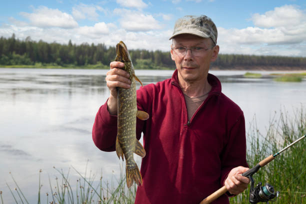istock Pike fish in the hands of an angler. 1594503587