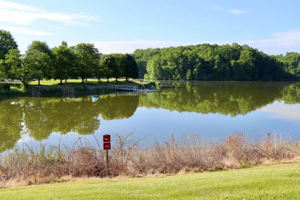 istock Countryside Lake 1594517742