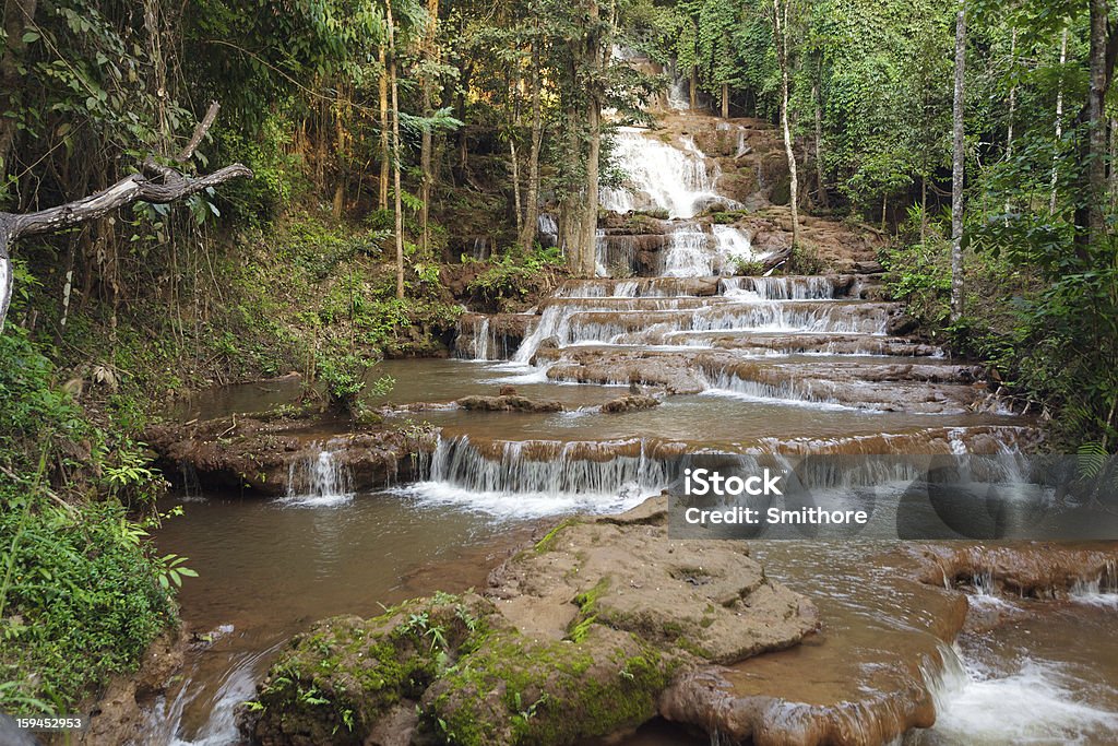 Cascada de la selva y - Foto de stock de Agua libre de derechos