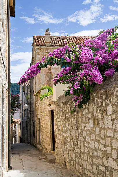istock Lovely street with flowers 159453205