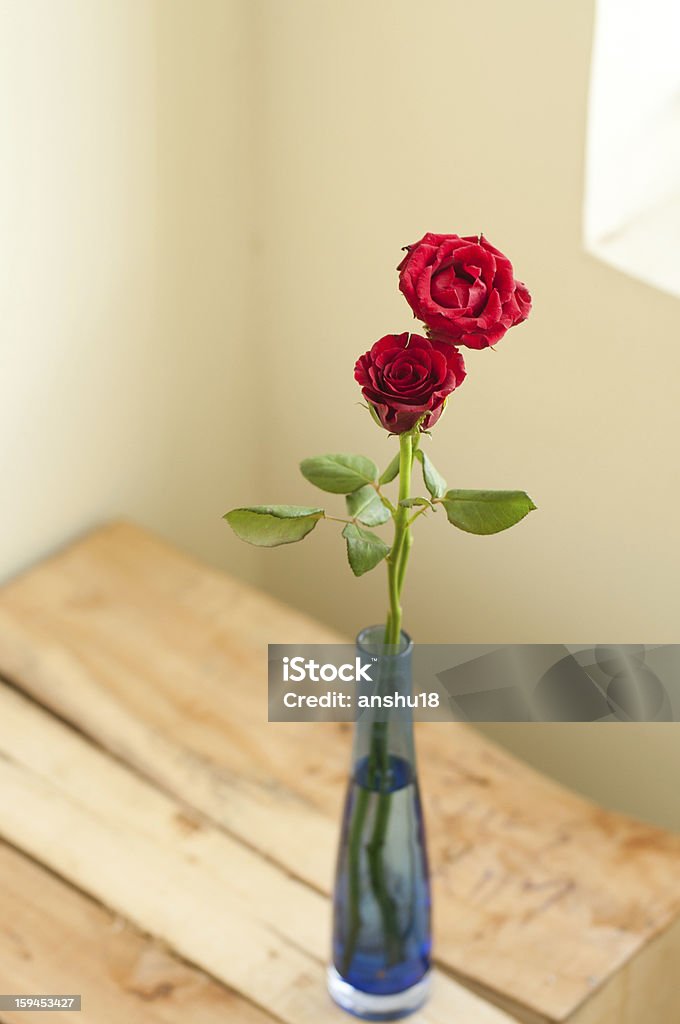 Deux roses dans un vase bleu - Photo de Deux objets libre de droits