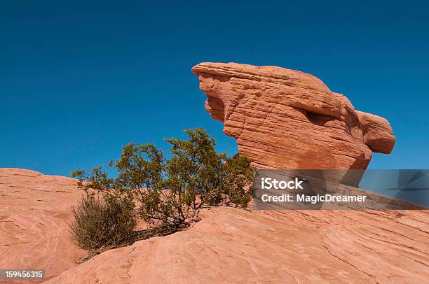 Formação Rochosa - Fotografias de stock e mais imagens de Ao Ar Livre - Ao Ar Livre, Arbusto, Areia