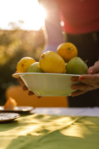 Close up shot of unrecognizable woman putting a fruit bowl with apples and lemons on a table in a sunny back yard.
