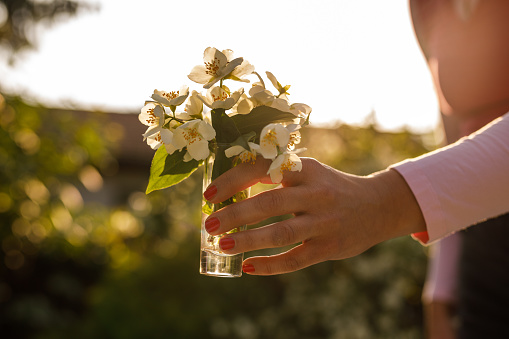 Close up shot of unrecognizable woman putting a vase with bouquet of jasmine flowers on a table in a sunny back yard.