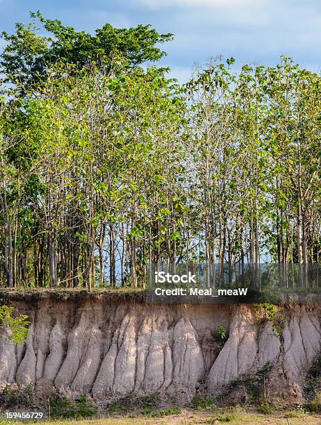 Terra Secção Transversal Da Calças - Fotografias de stock e mais imagens de Abaixo - Abaixo, Abstrato, Areia