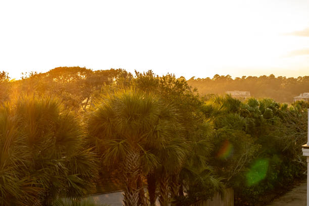 istock Sunset over the Saltwater Marsh 1594589752