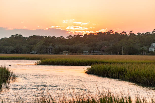 istock Sunset over the Saltwater Marsh 1594591251