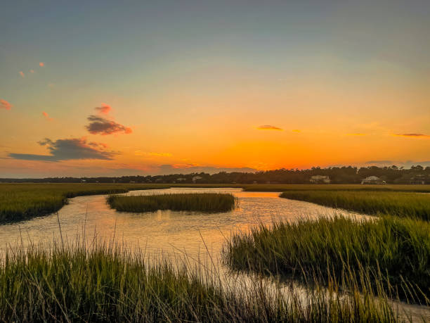 istock Sunset over the Saltwater Marsh 1594591884