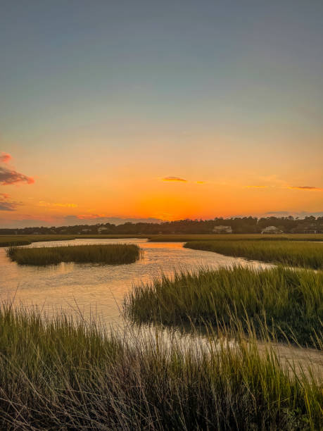 istock Sunset over the Saltwater Marsh 1594591891