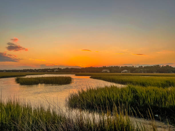 istock Sunset over the Saltwater Marsh 1594591892