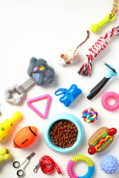 istock Pet care concept. Various pet accessories, brushes, training tools, food on white background. Flat lay, top view. 1594599443