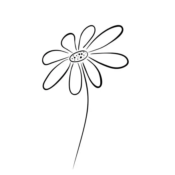 Vector illustration of flower doodle drawing, plant design element. A casual sketch by hand in black ink. Vector illustration isolated on white background.