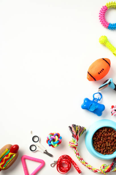 istock Flat lay composition with pet accessories, brushes, balls, training tools, bowl of dry food on white background. Pet care, grooming concept. 1594603208
