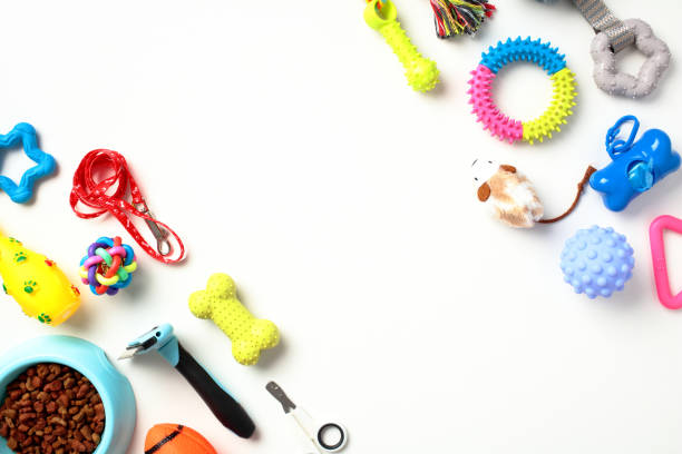 istock Flat lay composition with pet care and training accessories on white background. 1594604247