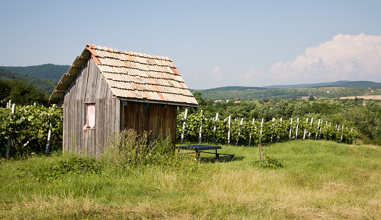 Little wood house near the vineyard - middle Slovakia