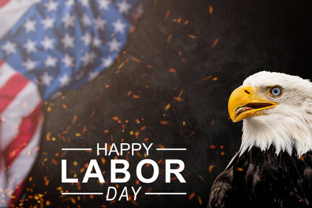 Happy Labor day banner, American patriotic background. American Bald Eagle - symbol of America -with flag, copy space. stock photo