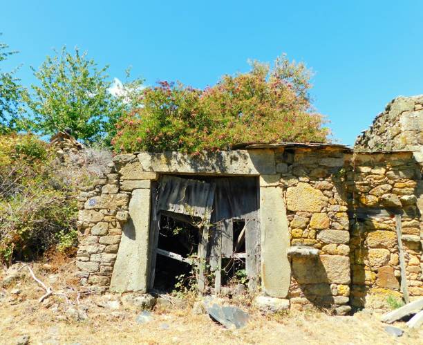 istock ancient door in rural landscapes 1594626867