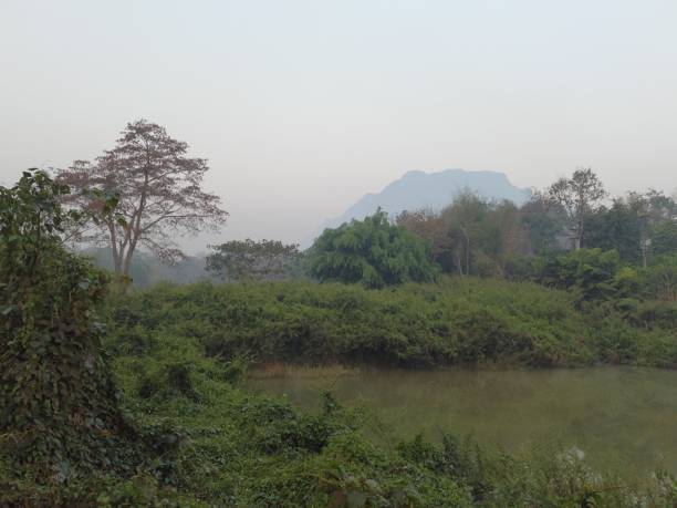 istock Thailand Chiang Dao hotsprings ricefields ... 1594737154