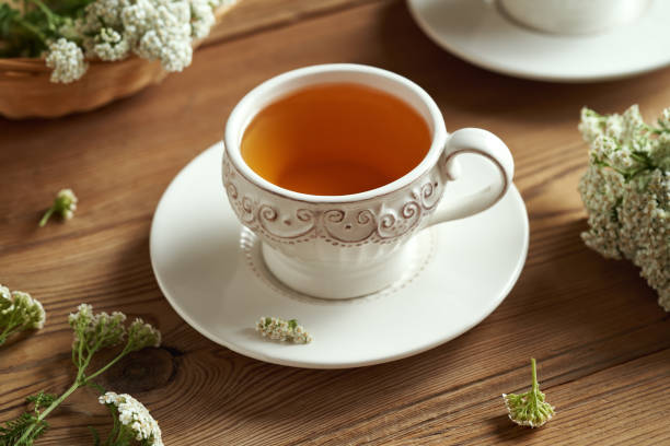 istock Yarrow tea with fresh blooming Achillea milefolium plant 1594754591