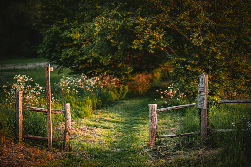 Gate in a wooden fence on a foothpath toward forest close to Brighton, East Sussex, UK