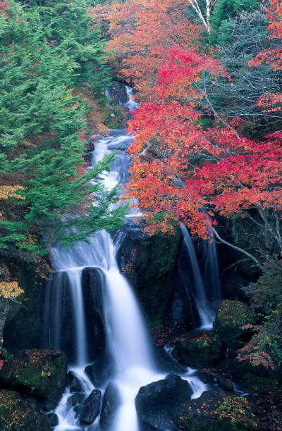 istock Japanese Forest Waterfalls In Autumn 1594858972