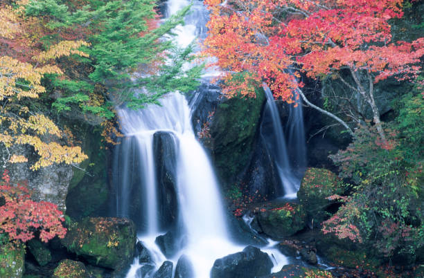 istock Japanese Forest Waterfalls In Autumn 1594858976
