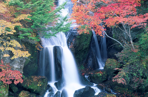 Autumnal Ryuzu Waterfall In Japan
(nikko)