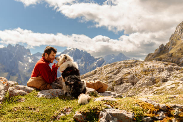 istock Hiking and adventure in the mountains 1594920309