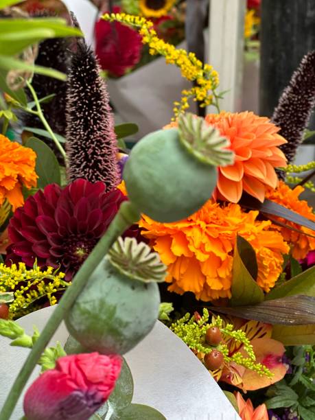 istock Flowers, farm market 1594942339