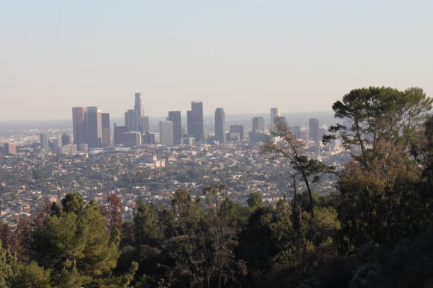 istock Los Angeles, California 1594995884