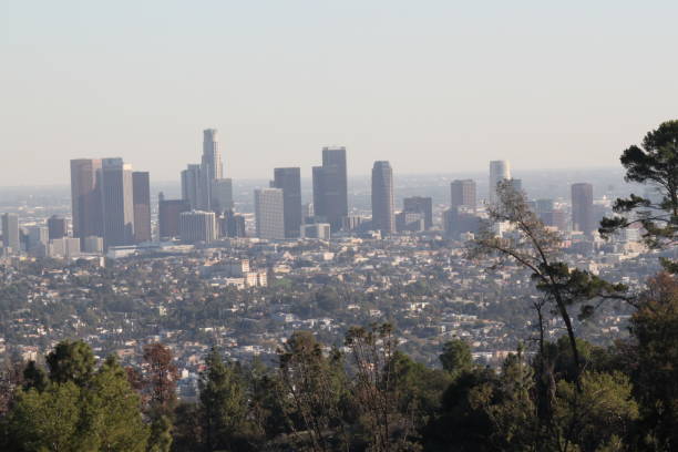 istock Los Angeles, California 1595000119