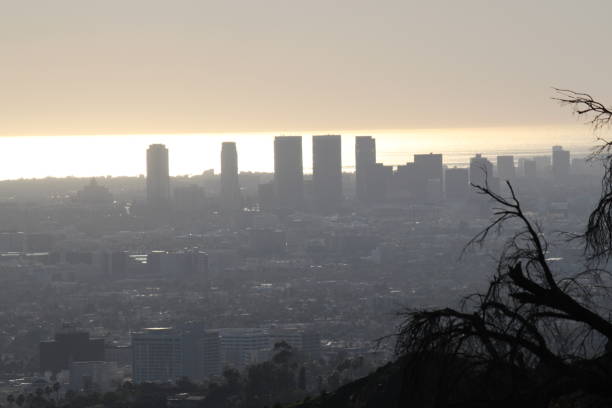 istock Los Angeles, California 1595000629