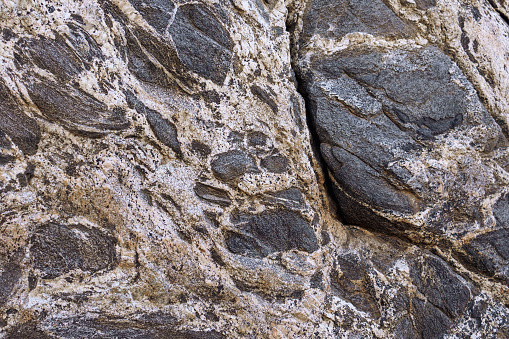 Metamorphic Gneiss rock background with texture and black and white layers. Quartz diorite to quartz monzonite gneiss. Found in the Big Morongo Canyon Preserve in Morongo Valley, California.