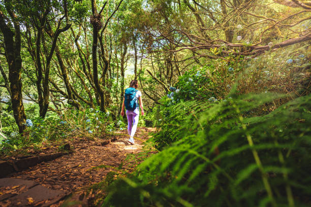 istock Female tourist with backpack walks along a beautiful overgrown path through a green forest on a sunny day. 25 Fontes waterfalls, Madeira Island, Portugal, Europe. 1595122080