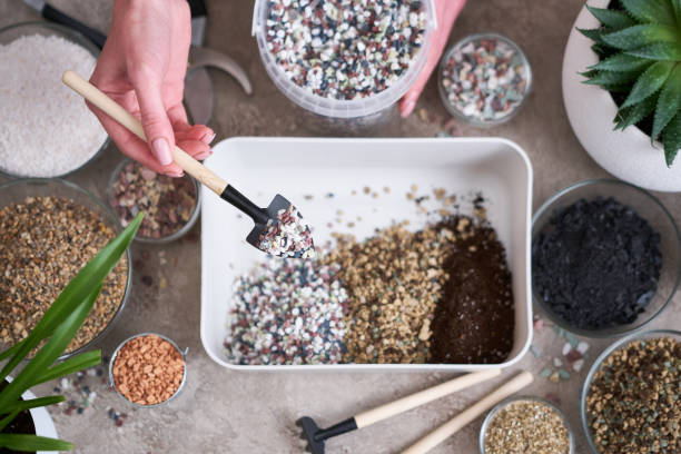 istock soil substrate preparation for transplanting houseplants on concrete background 1595132647