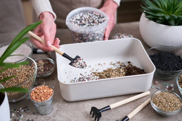 istock soil substrate preparation for transplanting houseplants on concrete background 1595132648