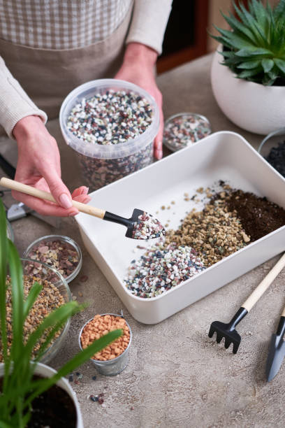 istock soil substrate preparation for transplanting houseplants on concrete background 1595132649