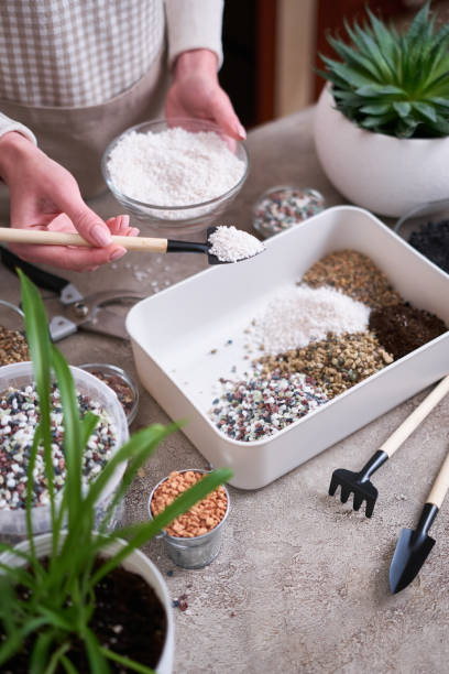 istock soil substrate preparation for transplanting houseplants on concrete background 1595132670