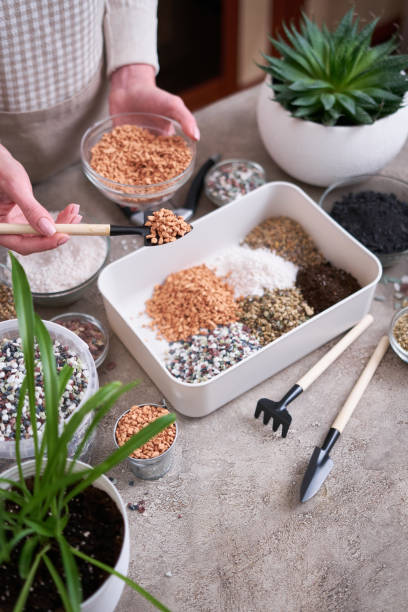 istock soil substrate preparation for transplanting houseplants on concrete background 1595132679