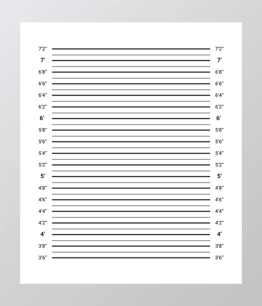 rama identyfikacyjna do aresztowania przestępstwa. szablon pomiaru ściany. kubek nakręcił kryminalną przeszłość w skali cali. - mug shot arrest blackboard prison stock illustrations