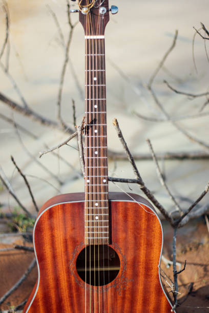istock dark color acoustic guitar 1595178420