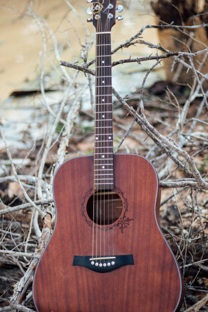 istock dark color acoustic guitar 1595179455